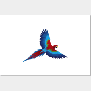 Parrot Posters and Art